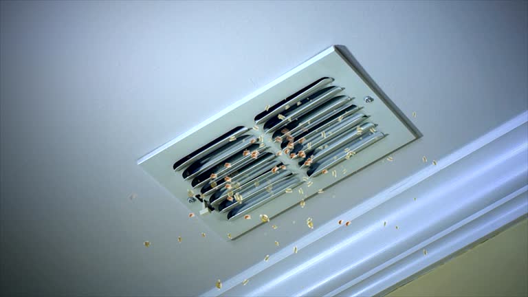Best HVAC Duct Inspection Services  in Lyons, GA