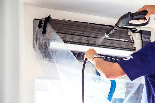 Best Air Duct Mold Removal  in Lyons, GA