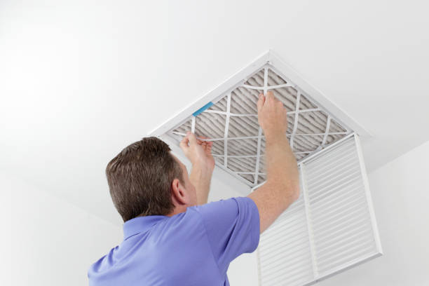 Best Professional Duct Cleaning Services  in Lyons, GA